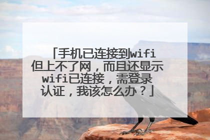手机已连接到wifi但上不了网,而且还显示wifi已连接,需登录认证,我该怎么办?