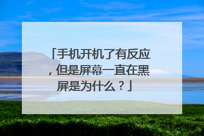 手机开机了有反应,但是屏幕一直在黑屏是为什么?