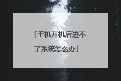 手机开机后进不了系统怎么办