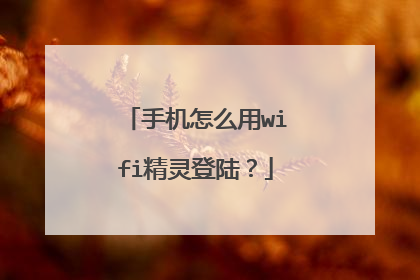 手机怎么用wifi精灵登陆？