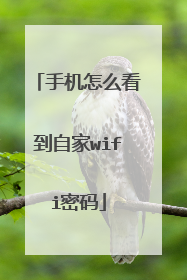 手机怎么看到自家wifi密码
