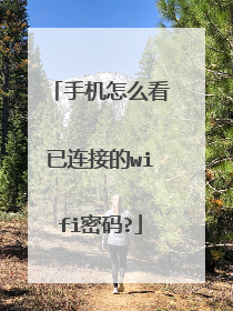 手机怎么看已连接的wifi密码?