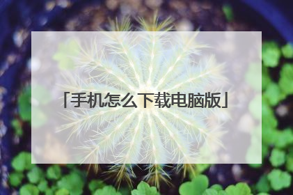 手机怎么下载电脑版