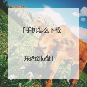 手机怎么下载东西到u盘