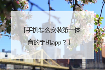 手机怎么安装第一体育的手机app？