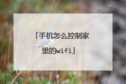 手机怎么控制家里的wifi