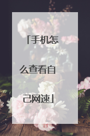 手机怎么查看自己网速