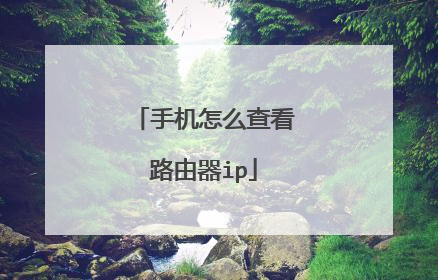 手机怎么查看路由器ip