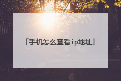 手机怎么查看ip地址