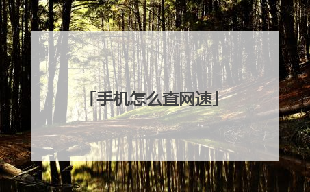 手机怎么查网速