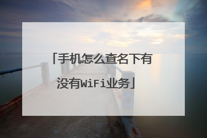 手机怎么查名下有没有WiFi业务