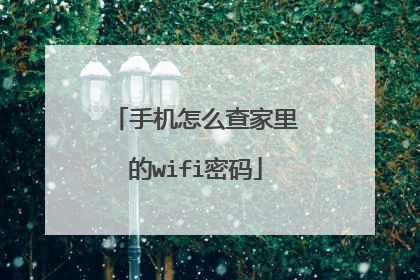 手机怎么查家里的wifi密码