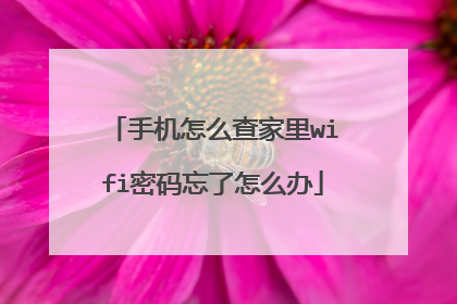手机怎么查家里wifi密码忘了怎么办