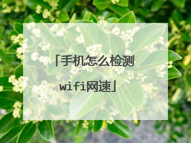 手机怎么检测wifi网速