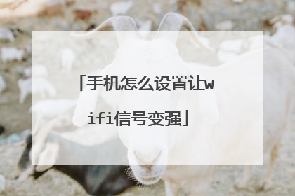 手机怎么设置让wifi信号变强
