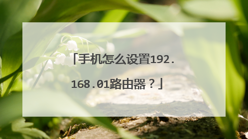 手机怎么设置192.168.01路由器？