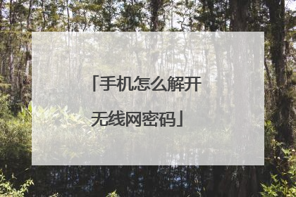 手机怎么解开无线网密码