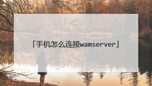 手机怎么连接wamserver