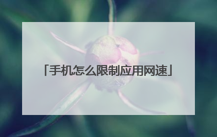 手机怎么限制应用网速
