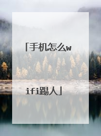 手机怎么wifi踢人