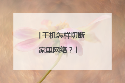 手机怎样切断家里网络？