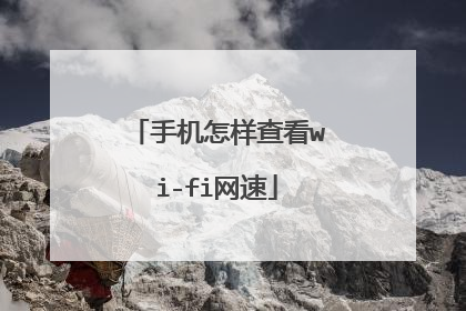 手机怎样查看wi-fi网速