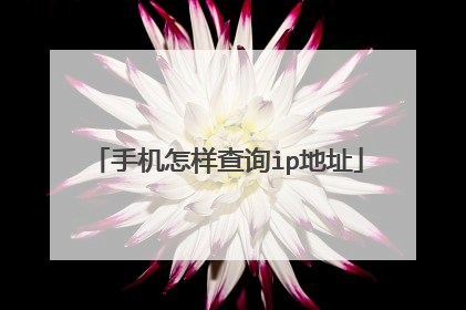 手机怎样查询ip地址