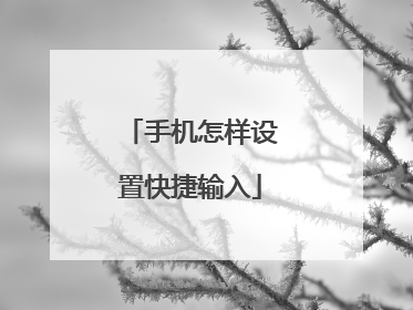 手机怎样设置快捷输入