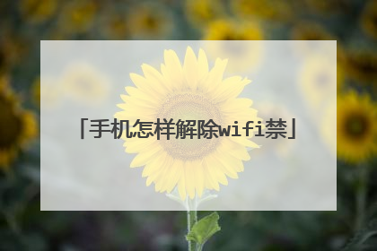 手机怎样解除wifi禁
