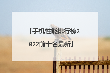 手机性能排行榜2022前十名最新