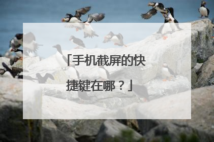手机截屏的快捷键在哪?