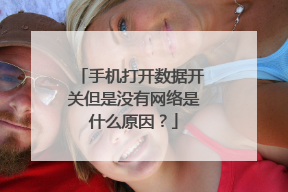 手机打开数据开关但是没有网络是什么原因?