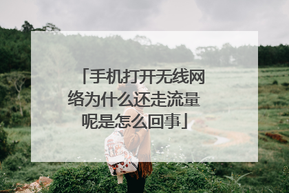 手机打开无线网络为什么还走流量呢是怎么回事