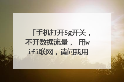 手机打开5g开关,不开数据流量, 用wifi联网,请问我用的是什么网络?