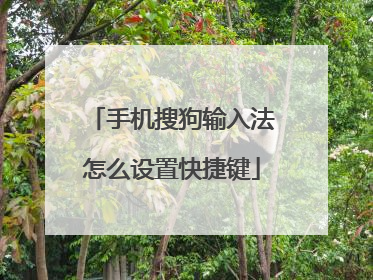 手机搜狗输入法怎么设置快捷键