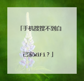 手机搜搜不到自己家WiFi？