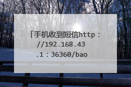 手机收到短信http：//192.168.43.1：36360/baohe.apk是什么意思