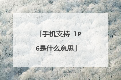 手机支持ⅤlP6是什么意思