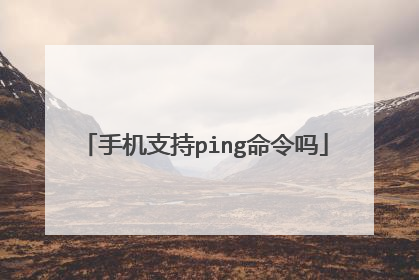 手机支持ping命令吗