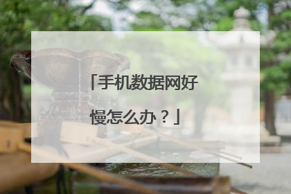 手机数据网好慢怎么办？