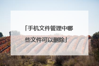 手机文件管理中哪些文件可以删除