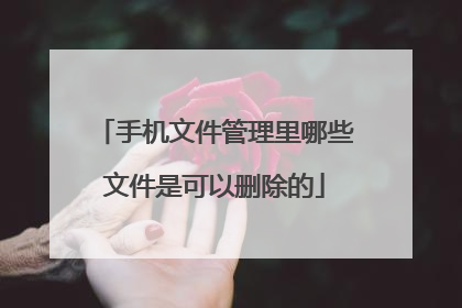手机文件管理里哪些文件是可以删除的