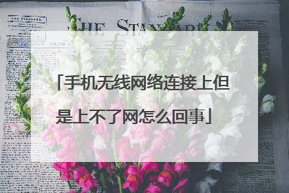 手机无线网络连接上但是上不了网怎么回事
