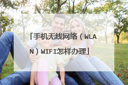 手机无线网络(WLAN)WIFI怎样办理