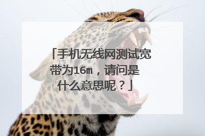 手机无线网测试宽带为16m,请问是什么意思呢?