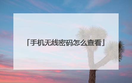 手机无线密码怎么查看