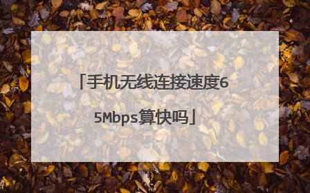 手机无线连接速度65Mbps算快吗