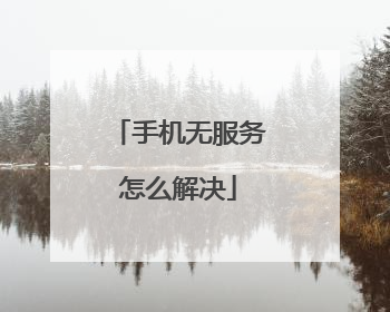 手机无服务怎么解决