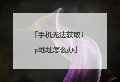 手机无法获取ip地址怎么办