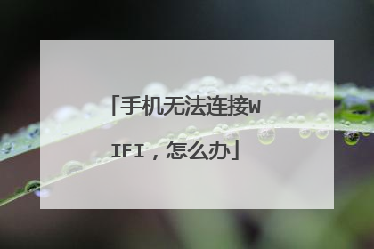 手机无法连接WIFI，怎么办